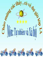 bai9. hoat dong va nghi ngoi