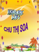 CHẤT DẺO