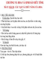 CẤU TẠO VÀ CHỨC NĂNG CỦA HOA