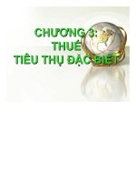 Nghiệp vụ thuế (chương 3)