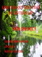 giáo án bồi dưỡng tham khảo thao giảng thi giáo viên giỏi sinh học lớp 9 bài mối quan hệ giữa gen và tính trạng (7)