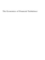 lucarelli  the economics of financial turbulence; alternative theories of money and finance (2011)