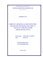 Nghiên cứu ảnh hưởng của một số công thức bón phân đến sinh trưởng, phát triển và năng suất cà phê catimor ở huyện Mai Sơn, Sơn La