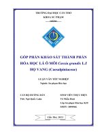Góp phần khảo sát thành phần hóa học trong lá cây ô môi (CASSIA GRANDIS l ) họ vang (CAESALPINIACEAE)