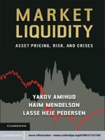 amihud et al - market liquidity; asset pricing, risk, and crises (2013)
