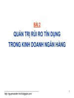 Quản trị rủi ro tín dụng trong kinh doanh ngân hàng