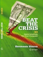simon - beat the crisis; quick solutions for your company (2010)