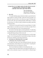 Ảnh hưởng của ô nhiễm tiếng ồn đối với con người và định hướng cân bằng sức khỏe cho học sinh THPT
