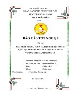 giải pháp phòng ngừa và hạn chế rủi ro tín dụng tại ngân hàng tmcp việt nam thịnh vượng – chi nhánh giảng võ