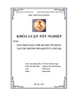 giải pháp hạn chế rủi ro tín dụng tại chi nhánh ngân hàng nông nghiệp & phát triển nông thôn láng hạ