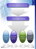 Chuyên đề 3 giới thiệu hệ thống ngân hàng thương mại