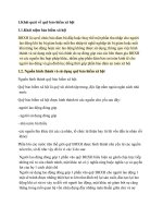 Tài liệu về quỹ đầu tư bảo hiểm xã hội