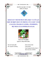 Khảo sát thành phần hóa học và cô lập một số hợp chất có trong cây lược vàng  (CALLISIA FRAGRANS (LINDL ) WOODSON), họ thài lài (COMMELINACEAE)