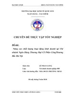 nâng cao chất lượng hoạt động kinh doanh tại chi nhánh ngân hàng tmcp công thương bắc hà nội