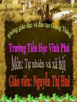 Tự nhiên-xã hội 1-bài 27: Con mèo cute