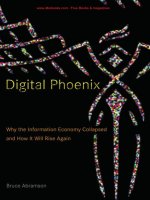 abramson - digital phoenix; why the information economy collapsed and how it will rise again (2005)