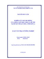Nghiên cứu mật độ trồng của giống ngô NK67, NK54 vụ hè thu tại huyện thuận châu, tỉnh sơn la