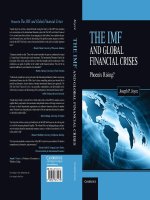 joyce - the imf and global financial crisis; phoenix rising (2013)