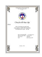 các giải pháp phòng ngừa rủi ro trong hoạt động cho vay tại ngân hàng nông nghiệp và phát triển nông thôn chi nhánh cẩm xuyên- hà tĩnh