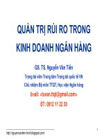 Quản trị rủi ro trong kinh doanh ngân hàng   tổng quan về rủi ro  trong kinh doanh ngân hàng