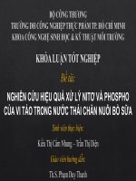 NGHIÊN cứu HIỆU QUẢ xử lý NITƠ và PHOSPHO của VI tảo TRONG nước THẢI CHĂN NUÔI bò nusữa(1)