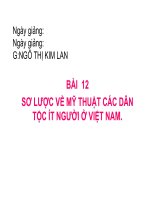 Bài 12. Sơ lược mỹ thuật các DTTS Việt Nam