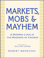 menschel - markets, mobs & mayhem; a modern look at the madness of crowds (2002)