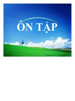 Bài giảng môn bảo hiểm_Ôn tập