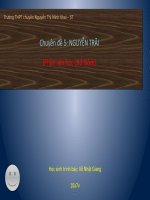 chuyên đề Nguyễn Trãi