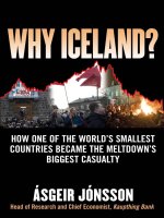 jonsson - why iceland; how one of the world's smallest countries became the meltdown's biggest casualty (2009)