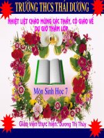 Bai 35: Quan sat cau tao ngoai ... ca chep