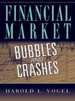 vogel - financial market; bubbles and crashes (2010)