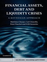 charpe et al - financial assets, debt and liquidity crises; a keynesian approach (2011)