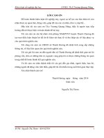 ĐỀ TÀI: “Đánh giá hiệu quả kinh tế rừng trồng Keo lai trên địa bàn xã Thanh Hương – Thanh Chương – Nghệ An”