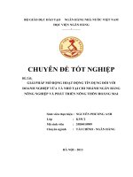 giải pháp mở rộng hoạt động tín dụng đối với doanh nghiệp vừa và nhỏ tại chi nhánh ngân hàng nông nghiệp và phát triển nông thôn hoàng mai