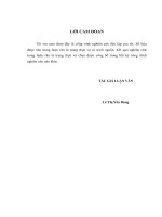 nâng cao hiệu quả huy động vốn tại sở giao dịch ngân hàng thương mại cổ phần ngoại thương việt nam