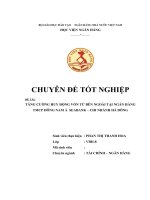 tăng cường huy động vốn từ bên ngoài tại nhtmcp đông nam á - chi nhánh hà đông