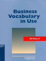 business vocabulary in use