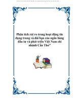 Đề tài phân tích rủi ro trong hoạt động tín dụng trung và dài hạn của ngân hàng đầu tư và phát triển việt nam chi nhánh cần thơ