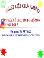 Bai 34Su da dang va dac diem chung cau cac lop ca