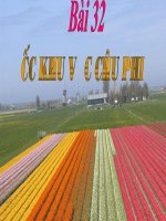 Bài 32. Các khu vực châu Phi