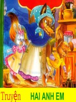 TRUYỆN TRANH: 2 ANH EM