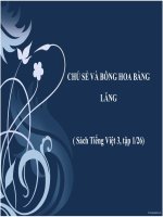 CHÚ SẺ VÀ BÔNG HOA BẰNG LĂNG