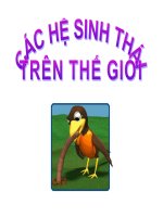 Các hệ sinh thái trên thế giới