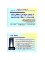 BAI GIANG TINH HINH SU DUNG NANG LUONG TREN TG-VN