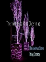 THE TWELVE DAYS OF CHRISTMAS  12/25/2011