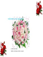 let''''s go 1B- unit 1