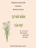 Sự nảy mầm của hạt