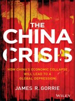 gorrie - the china crisis; now china's economic collapse will lead to a global depression (2013)
