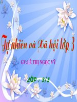 TNXH. An toàn khi đi xe đạp